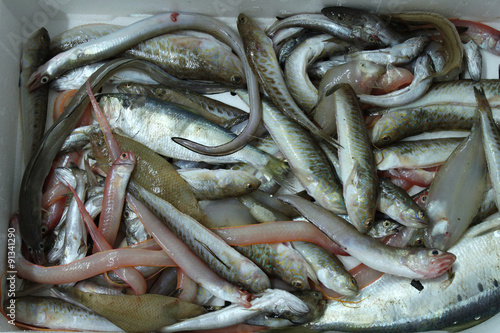 Fish market: fish mix in a box photo