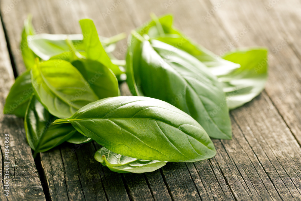 basil leaves basil leaves