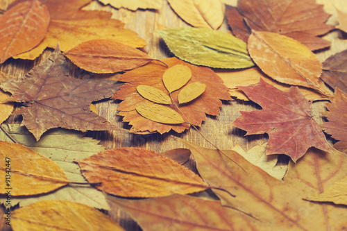 autumn leaves