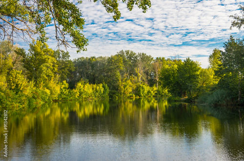 Sunny day on a calm river in summer