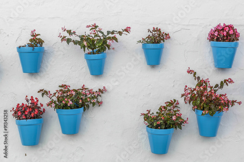 Blue flowerpot on a wall © aitormmfoto
