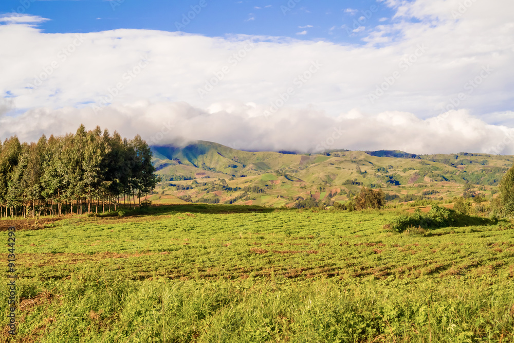 Rural landscape Tanzania
