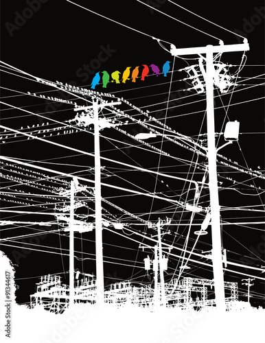 A rainbow of birds on a wire vector background