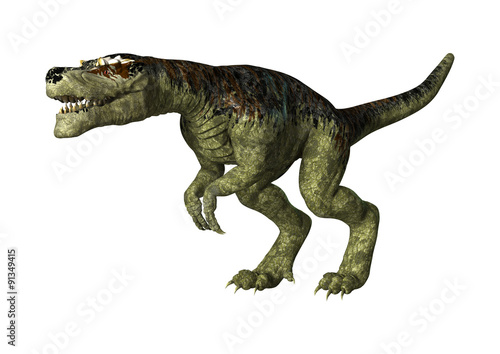 Tyrannosaurus Rex © photosvac
