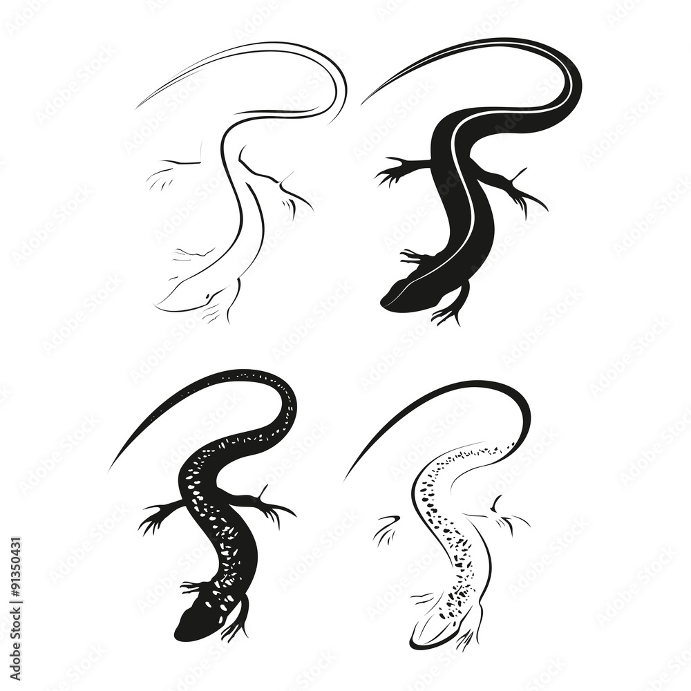Fototapeta premium Decorative black lizard. Graphic style of lizard isolated on white background.
