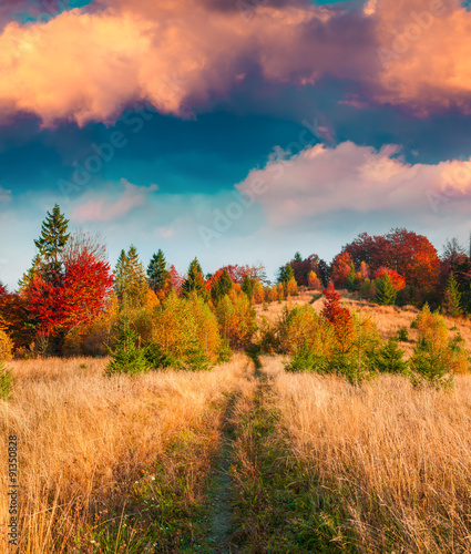 Colorful autumn sunset in the Carpathian mountains.