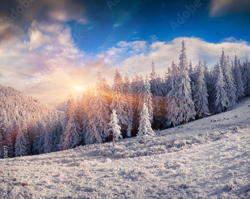 Sunny winter morning in the Carpathian mountains.