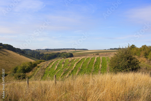 yorkshire wolds countryside