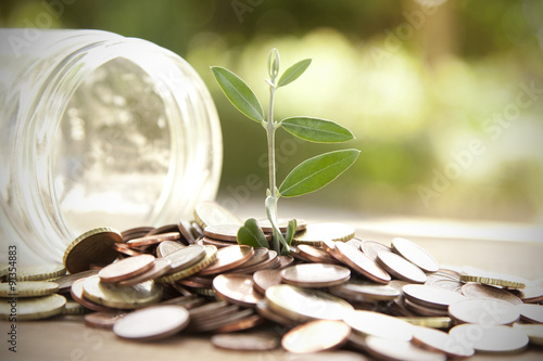 Obraz na płótnie pot with coins saving concept