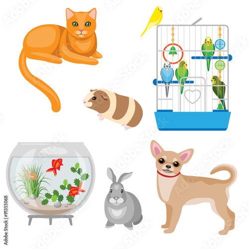 Animal companions set