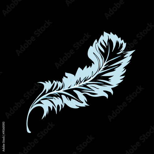 decorative Feather