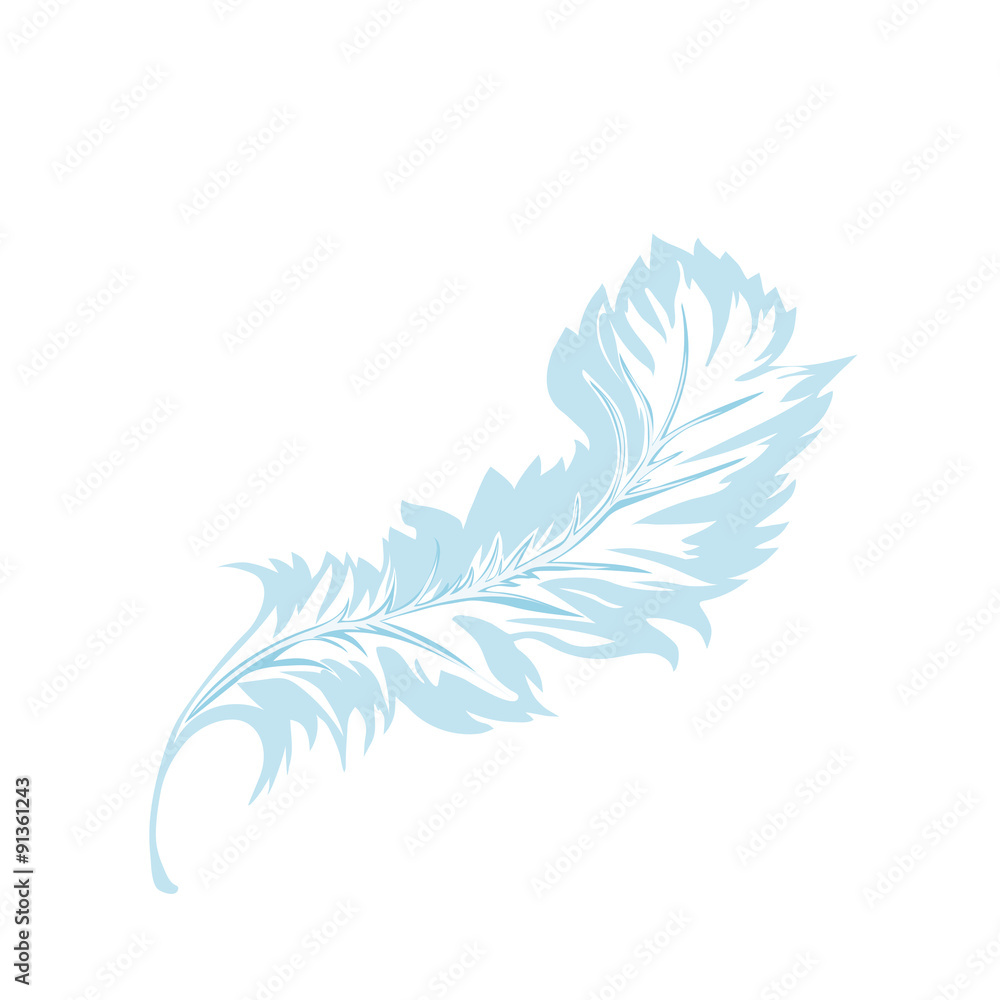 Obraz premium decorative Feather