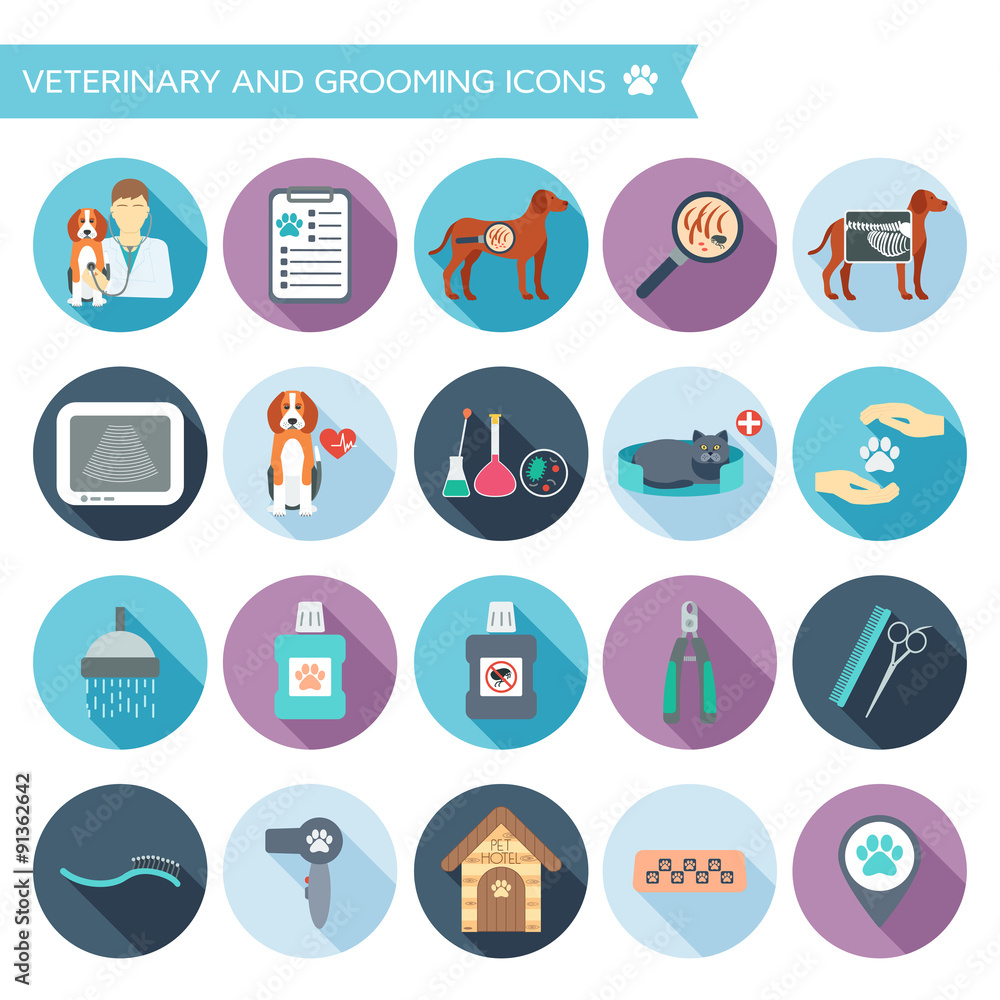 Set of veterinary and grooming icons with names. Colorful flat design with shadows. Vector