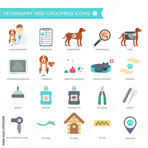 Set of veterinary and grooming icons with names. Flat design. Vector
