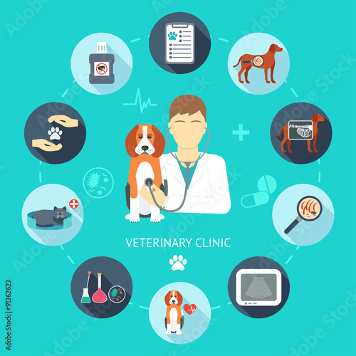 Veterinary flat icon set. Veterinary banner, background, poster, concept. Vet clinic. Flat design. Vector