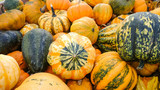 Colorful ornamental gourds, top view