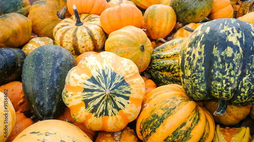 Colorful ornamental gourds, close up