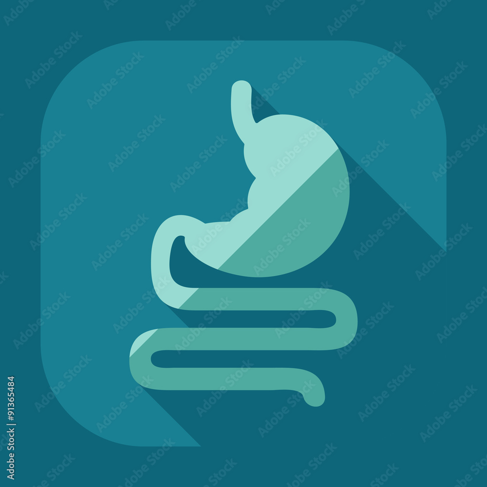 Obraz premium Flat modern design with shadow icons stomach