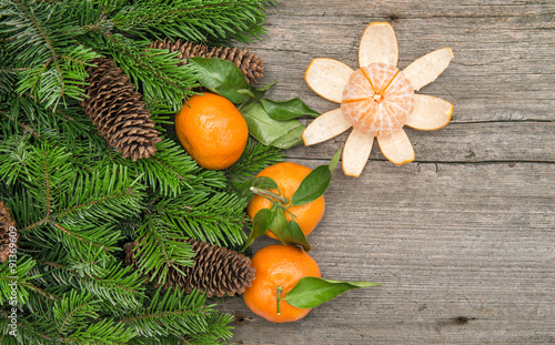 Tangerine fruits and christmas tree branches. Mandarine