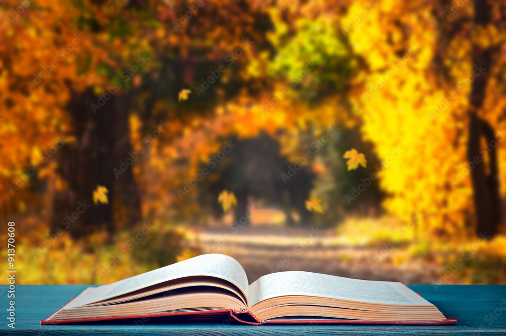 Obraz premium Book in the autumn park