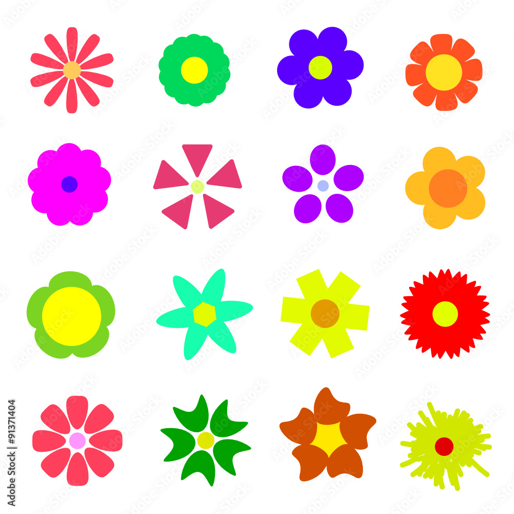 flower colorful vector
