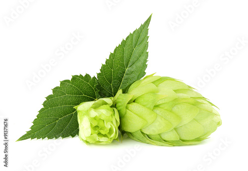 The flower with the leaf hops. photo