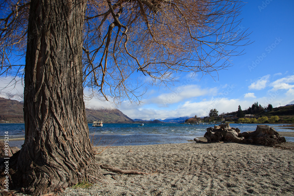 beautiful landscape of lake wanaka in south island new zealand i