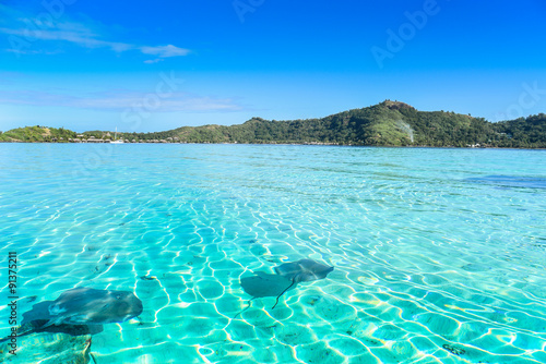 Razze con sfondo Bora Bora