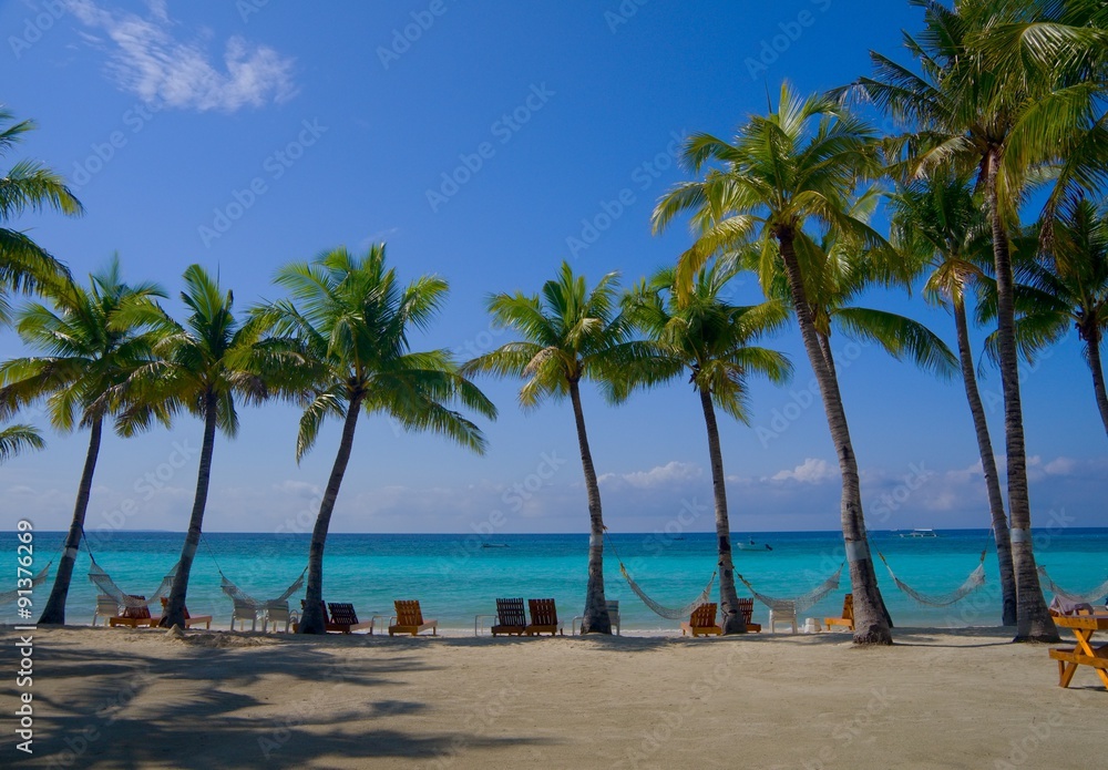 ヤシの木の並ぶトロピカルビーチ