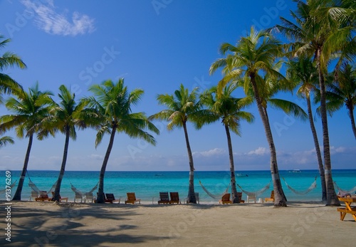 ヤシの木の並ぶトロピカルビーチ