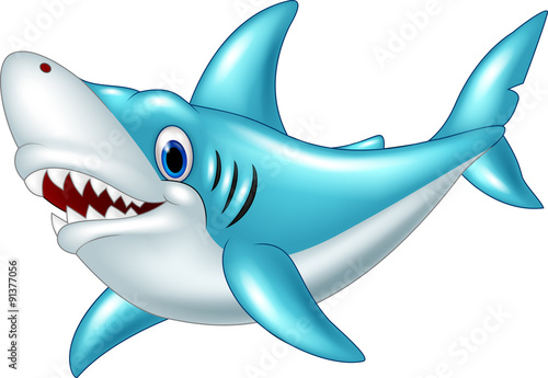 Cartoon shark isolated on white background