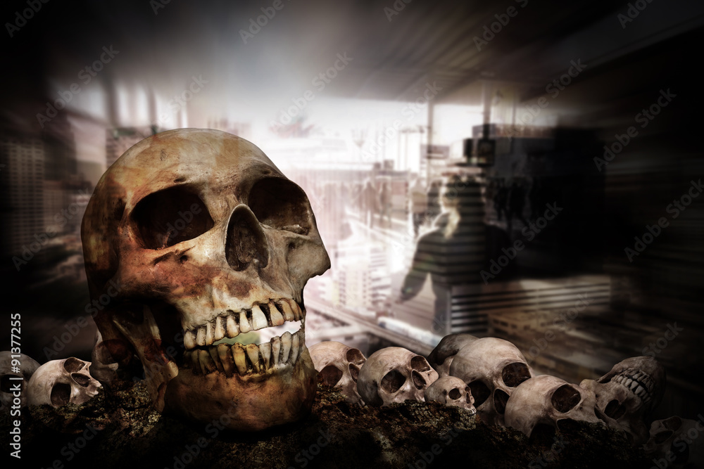 Still life, human skull on dry field in city with building background Still life, human skull on dry field in city with building background