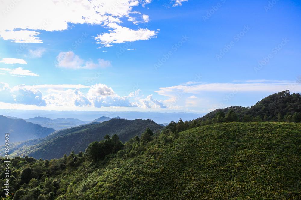 Obraz premium Top of the mountains