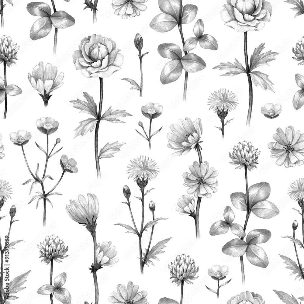Wild flowers illustration. Seamless pattern Wild flowers illustration. Seamless pattern