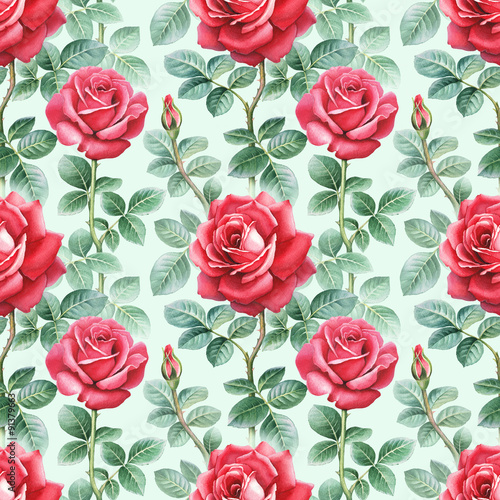 Watercolor rose flowers illustration. Seamless pattern © Aleksandra Smirnova
