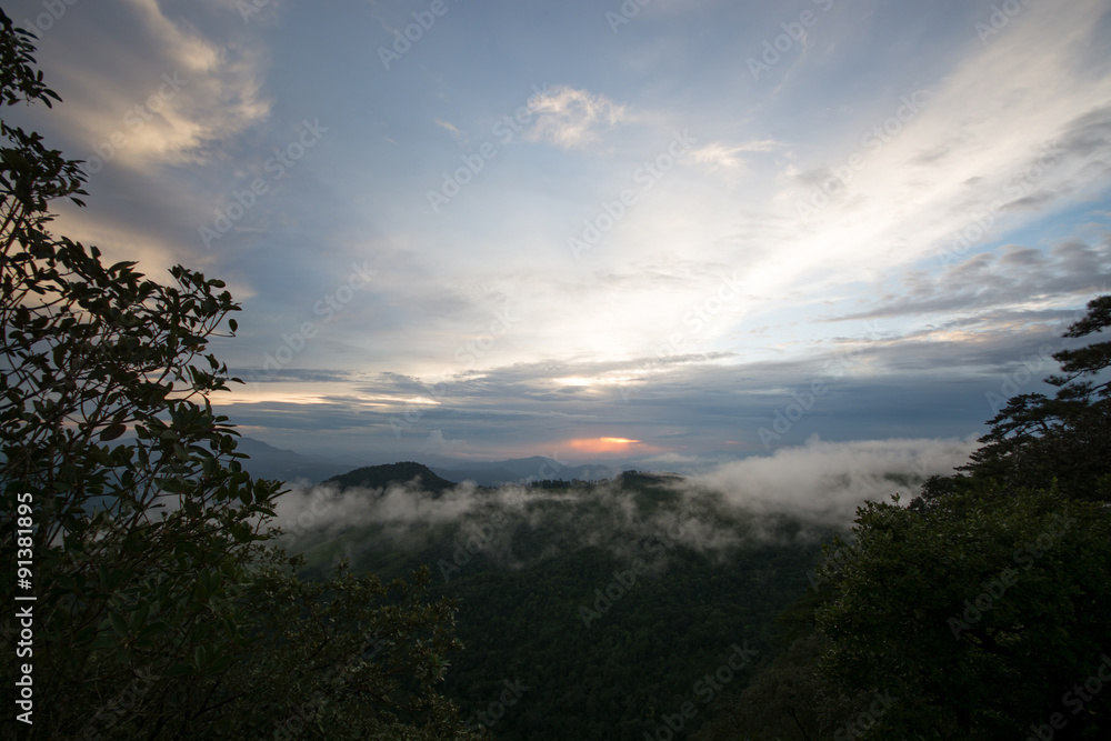 sunset with fogs, clouds and trees sunset with fogs, clouds and trees