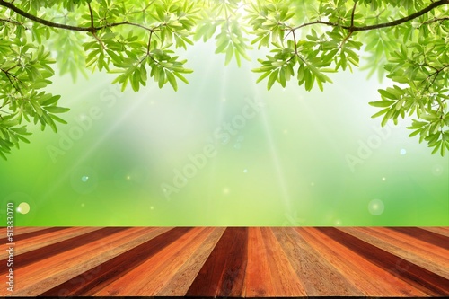 Fresh spring green leaf with green bokeh and sunlight and wood floor. Beauty natural background