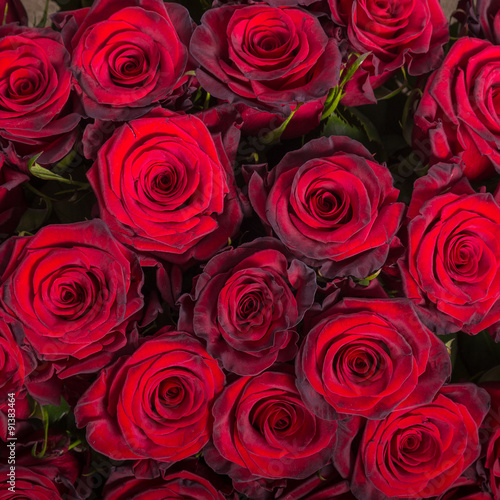 Abstract background of roses