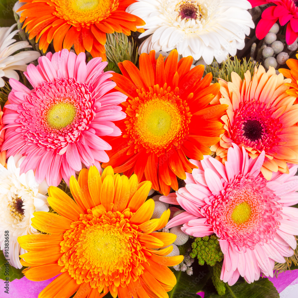 Beautiful bunch of gerberas Beautiful bunch of gerberas