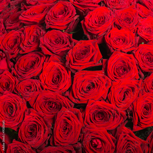 Plenty red natural roses background