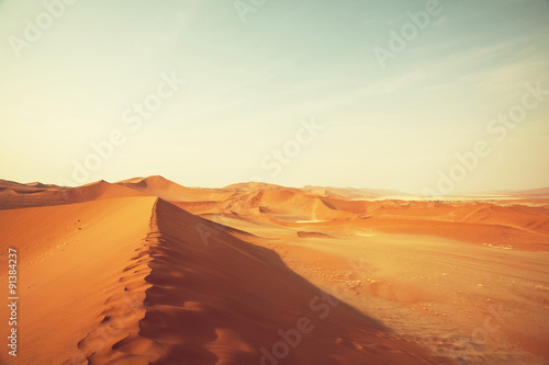 Namib © Galyna Andrushko