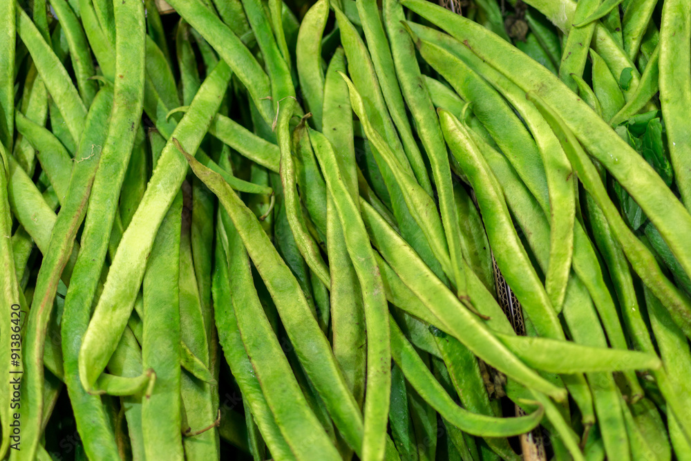 Closeup of Fresh Green Runner Beans Closeup of Fresh Green Runner Beans