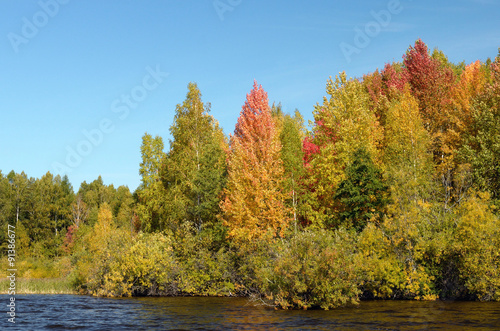 colorful autumn forest river lake sky clouds