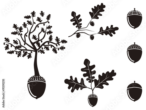 oak acorn silhouettes set