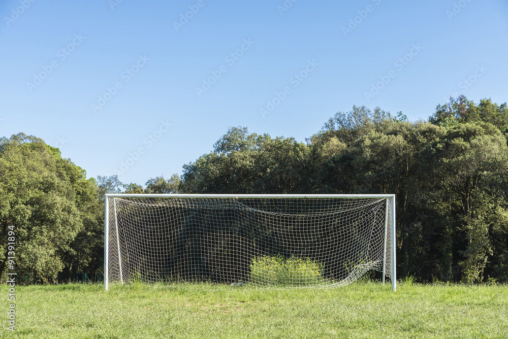 Goal in the countryside Goal in the countryside