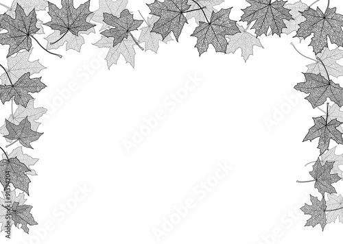 Dry autumn maple leaves silhouettes  border, vector illustration.