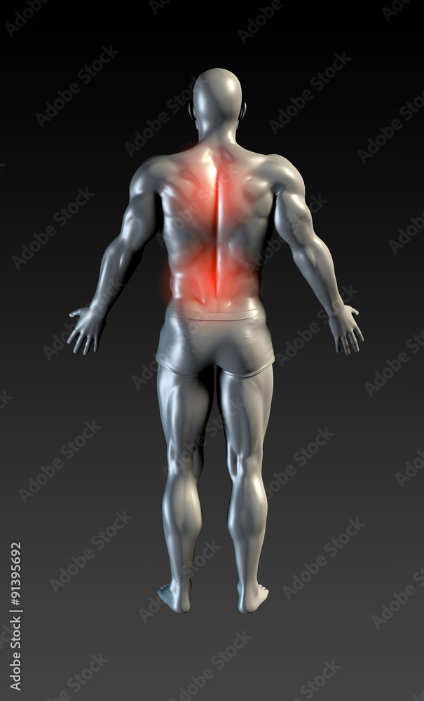 Spine Injury Spine Injury