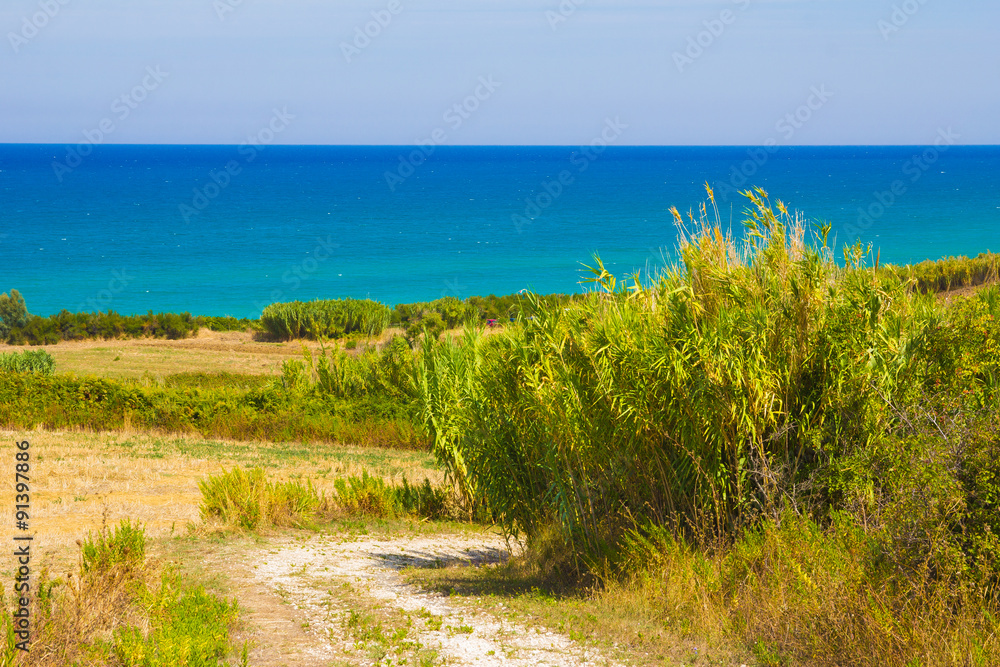 Sentiero per la spiaggia di Mottagrossa