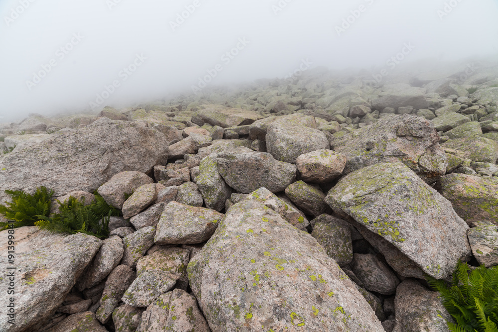 Large boulders in fog