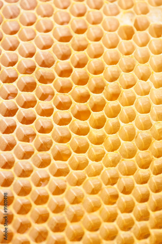 Honeycomb empty and full of honey